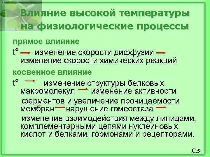 Влияние высокой температуры на физиологические процессы прямое влияние t° изменение скорости диффузии изменение скорости