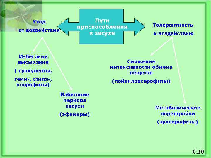 Уход от воздействия Пути приспособления к засухе Избегание высыхания Толерантность к воздействию Снижение интенсивности