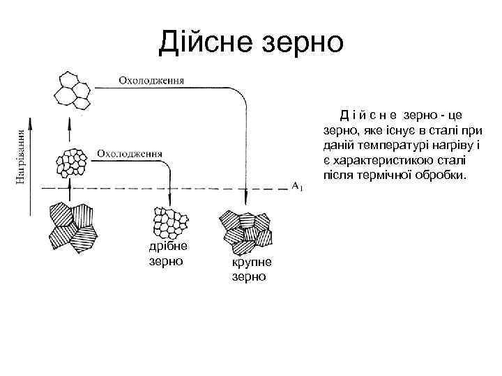 Дійсне зерно Д і й с н е зерно - це зерно, яке існує