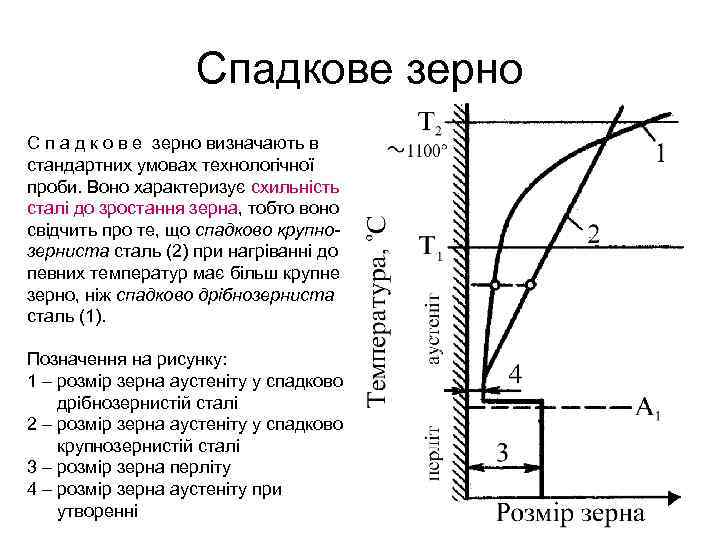 Спадкове зерно С п а д к о в е зерно визначають в стандартних