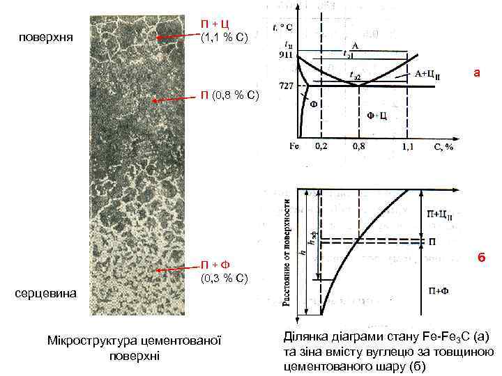 поверхня П+Ц (1, 1 % С) а П (0, 8 % С) П+Ф (0,