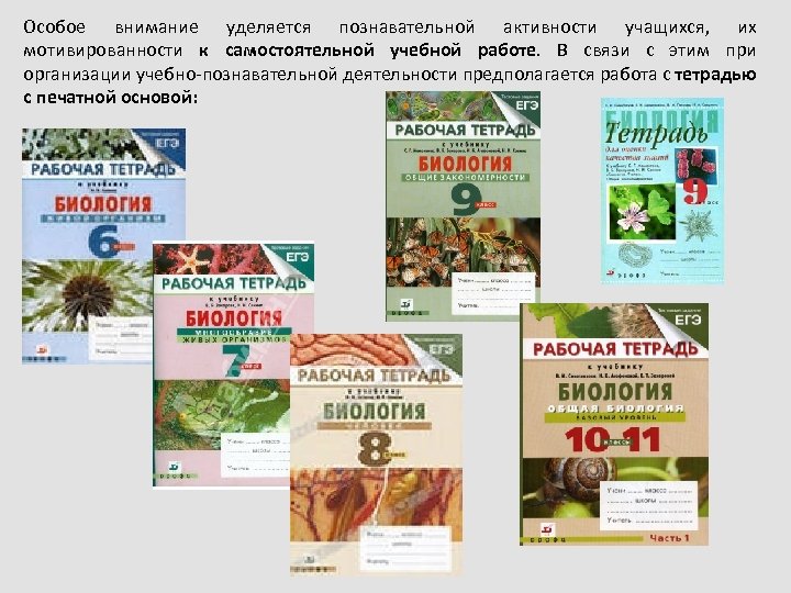 Особое внимание уделяется познавательной активности учащихся, их мотивированности к самостоятельной учебной работе. В связи