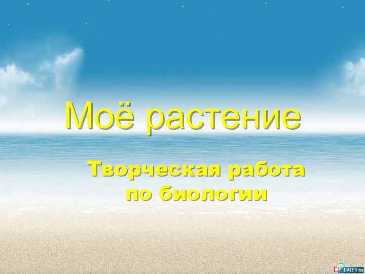 Моё растение Творческая работа по биологии 