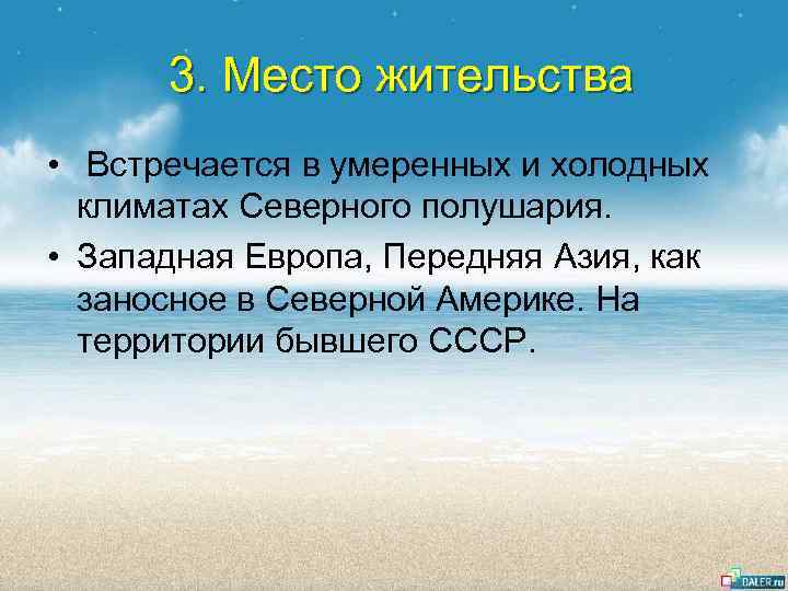 3. Место жительства • Встречается в умеренных и холодных климатах Северного полушария. • Западная