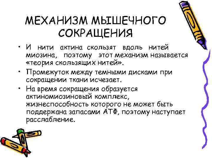 МЕХАНИЗМ МЫШЕЧНОГО СОКРАЩЕНИЯ • И нити актина скользят вдоль нитей миозина, поэтому этот механизм