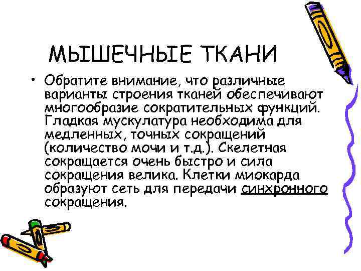 МЫШЕЧНЫЕ ТКАНИ • Обратите внимание, что различные варианты строения тканей обеспечивают многообразие сократительных функций.