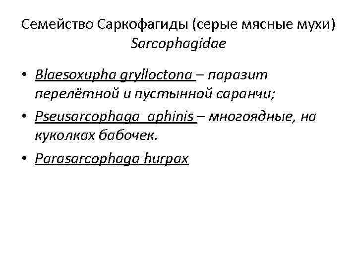 Семейство Саркофагиды (серые мясные мухи) Sarcophagidae • Blaesoxupha grylloctona – паразит перелётной и пустынной