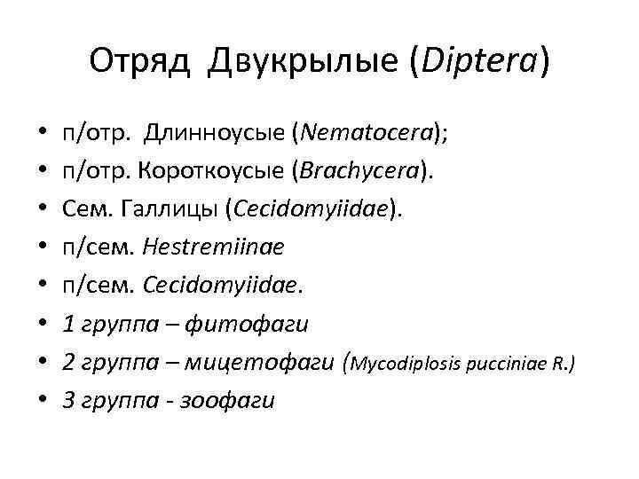 Отряд Двукрылые (Diptera) • • п/отр. Длинноусые (Nematocera); п/отр. Короткоусые (Brachycera). Сем. Галлицы (Cecidomyiidae).