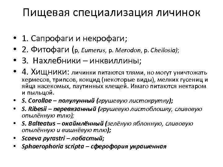 Пищевая специализация личинок • • • 1. Сапрофаги и некрофаги; 2. Фитофаги (р, Еumerus,