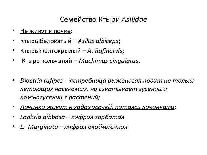 Семейство Ктыри Asilidae • • Не живут в почве: Ктырь беловатый – Asilus albiceps;
