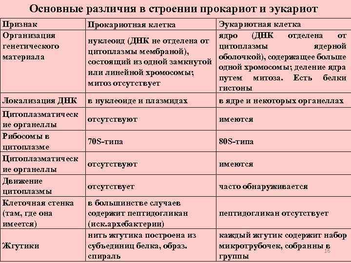 Основные различия в строении прокариот и эукариот Признак Организация генетического материала Локализация ДНК Цитоплазматическ