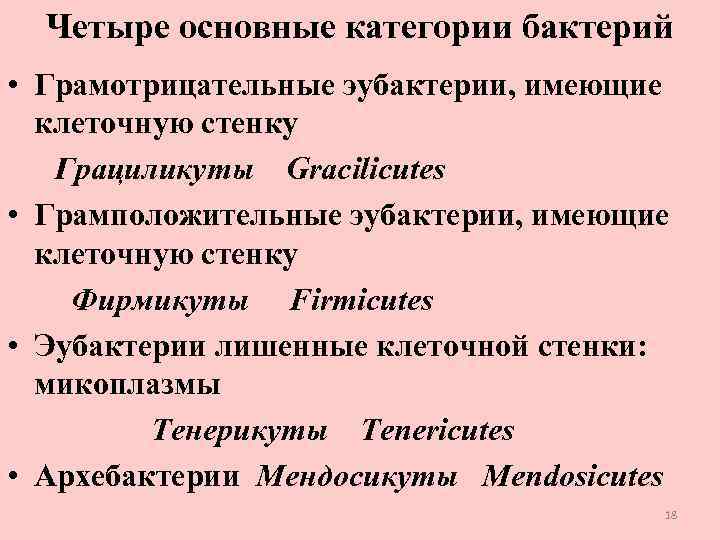 Четыре основные категории бактерий • Грамотрицательные эубактерии, имеющие клеточную стенку Грациликуты Gracilicutes • Грамположительные