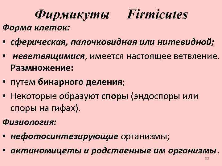 Фирмикуты Firmicutes Форма клеток: • сферическая, палочковидная или нитевидной; • неветвящимися, имеется настоящее ветвление.