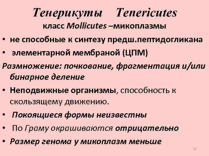 Тенерикуты Tenericutes класс Моllicutes –микоплазмы • не способные к синтезу предш. пептидогликана • элементарной