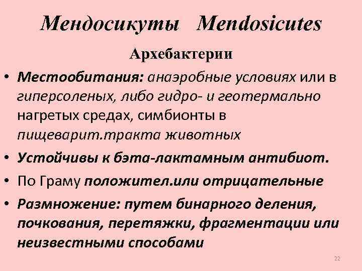 Мендосикуты Mendosicutes • • Архебактерии Местообитания: анаэробные условиях или в гиперсоленых, либо гидро- и