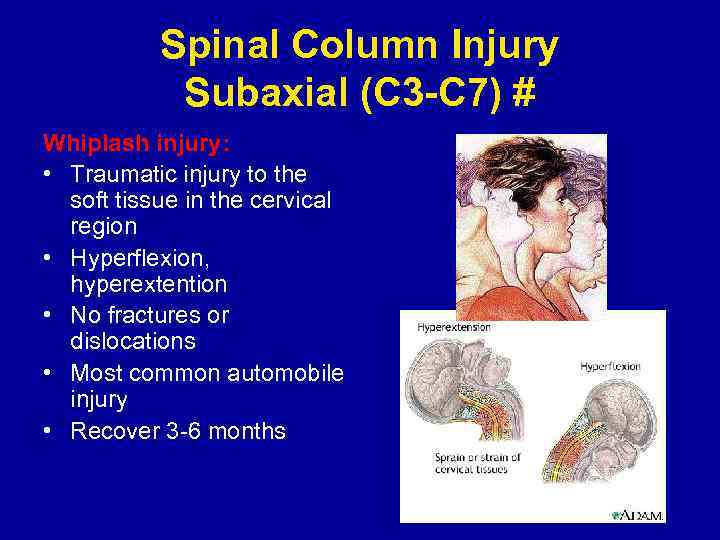 Spinal Column Injury Subaxial (C 3 -C 7) # Whiplash injury: • Traumatic injury