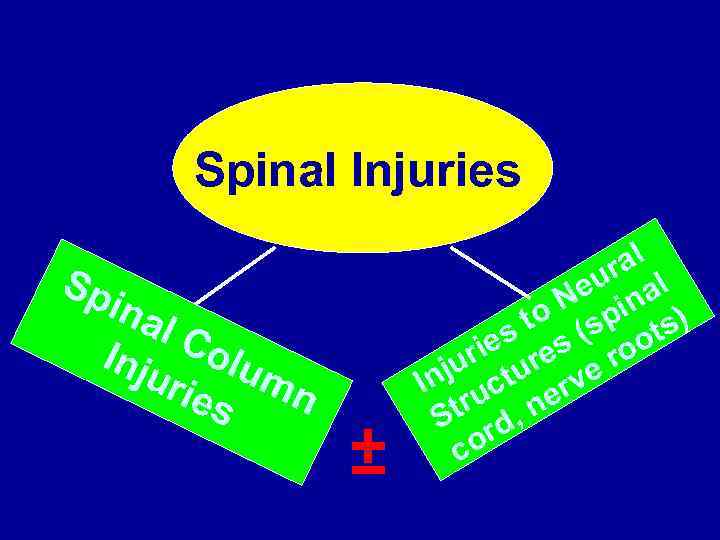 Spinal Injuries Sp ina l. C olu Inj uri mn es ± ral l