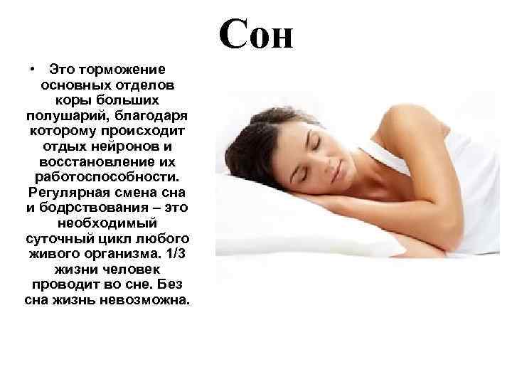 Сон • Это торможение основных отделов коры больших полушарий, благодаря которому происходит отдых нейронов