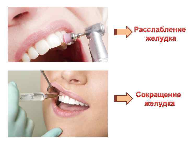 Расслабление желудка Сокращение желудка 