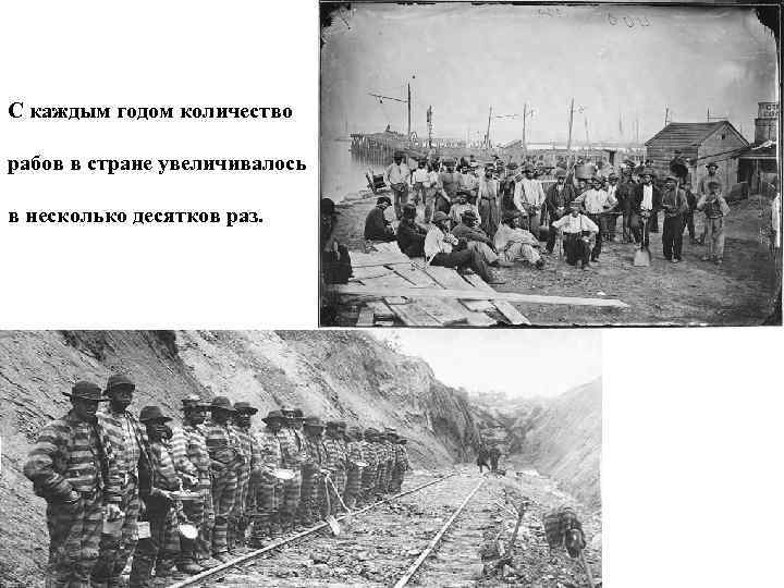 С каждым годом количество рабов в стране увеличивалось в несколько десятков раз. 
