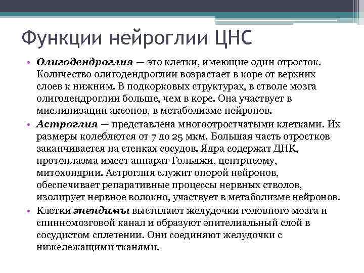 Функции нейроглии ЦНС • Олигодендроглия — это клетки, имеющие один отросток. Количество олигодендроглии возрастает