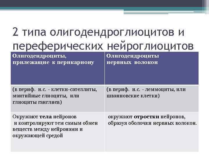 2 типа олигодендроглиоцитов и переферических нейроглиоцитов Олигодендроциты, прилежащие к перикариону Олигодендроциты нервных волокон (в
