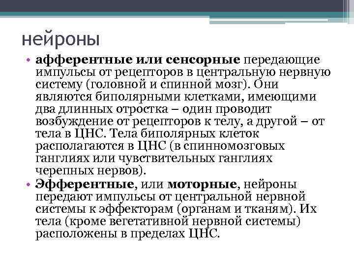 нейроны • афферентные или сенсорные передающие импульсы от рецепторов в центральную нервную систему (головной