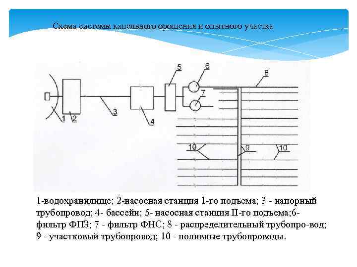 Схема системы капельного орошения и опытного участка Стр 48 1 водохранилище; 2 насосная станция