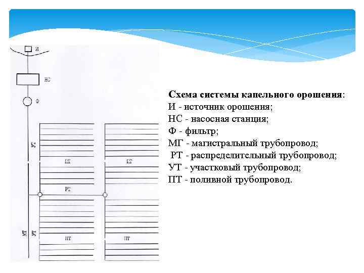 Схема системы капельного орошения: И источник орошения; НС насосная станция; Ф фильтр; МГ магистральный