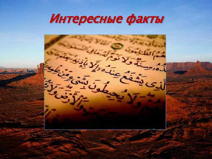 Интересные факты 