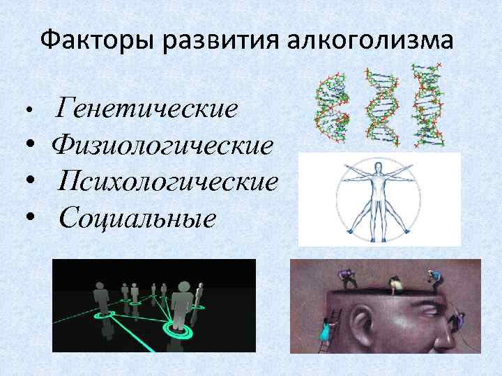 Факторы развития алкоголизма Генетические • Физиологические • Психологические • Социальные • 