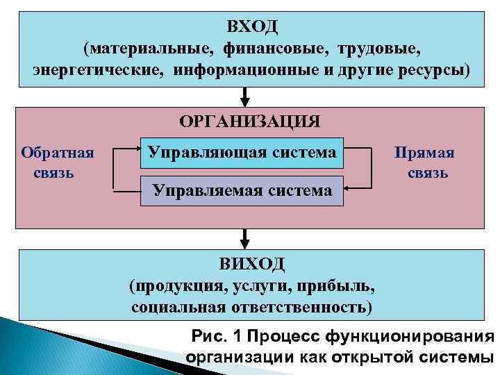 ВХОД (материальные, финансовые, трудовые, энергетические, информационные и другие ресурсы) ОРГАНИЗАЦИЯ Обратная связь Управляющая система