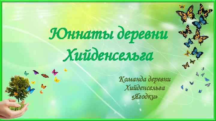 Юннаты деревни Хийденсельга Команда деревни Хийденсельга «Ягодки» 