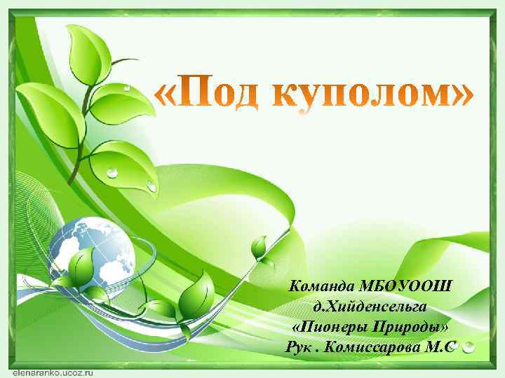 Команда МБОУООШ д. Хийденсельга «Пионеры Природы» Рук. Комиссарова М. С 