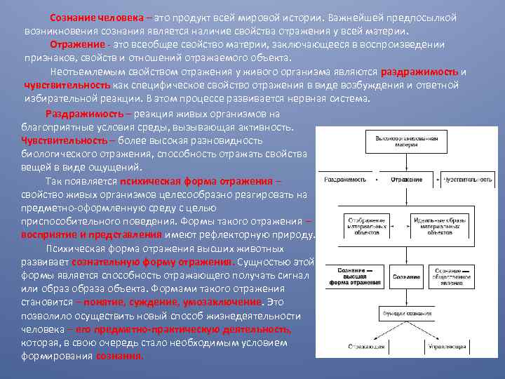 Условия возникновения сознания