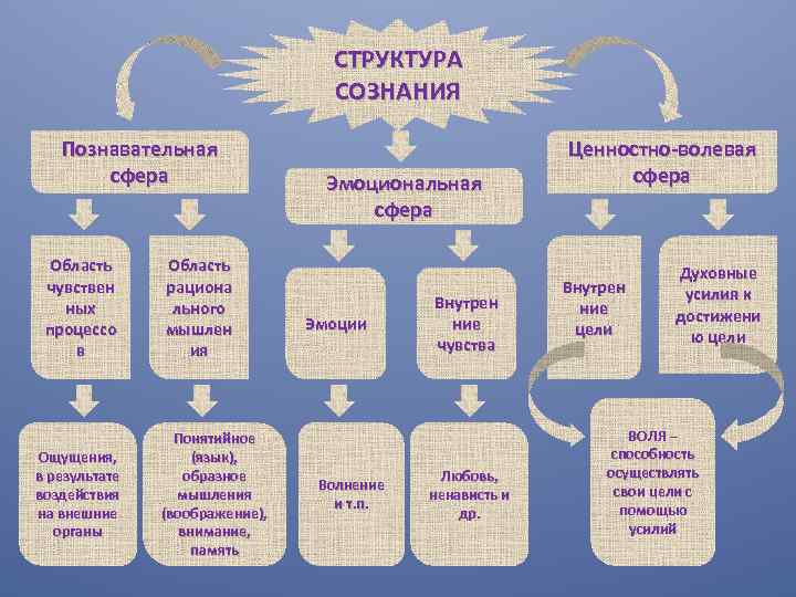 Сфера состав. Познавательная сфера. Познавательная сфера сознания. Структура познавательной сферы. Познавательная сфера личности в психологии.