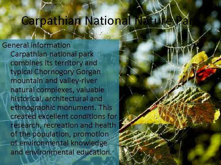 Carpathian National Nature Park General information Carpathian national park combines its territory and typical