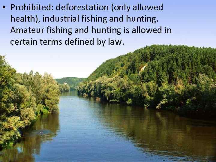  • Prohibited: deforestation (only allowed health), industrial fishing and hunting. Amateur fishing and