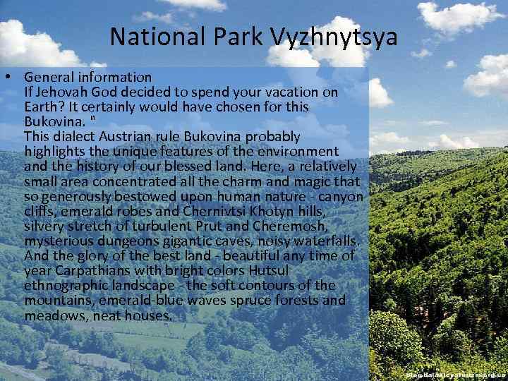 National Park Vyzhnytsya • General information If Jehovah God decided to spend your vacation