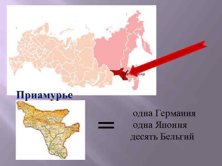 Приамурье = одна Германия одна Япония десять Бельгий 