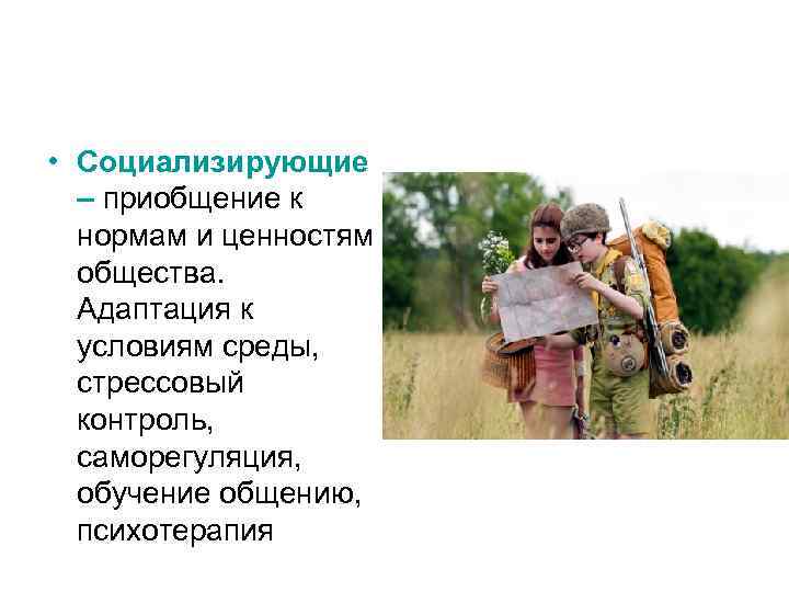  • Социализирующие – приобщение к нормам и ценностям общества. Адаптация к условиям среды,