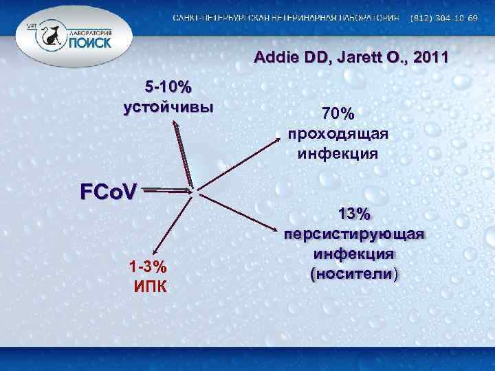 Addie DD, Jarett O. , 2011 5 -10% устойчивы FCo. V 1 -3% ИПК