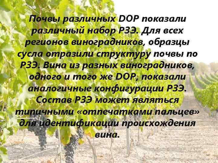 Почвы различных DOP показали различный набор РЗЭ. Для всех регионов виноградников, образцы сусла отразили
