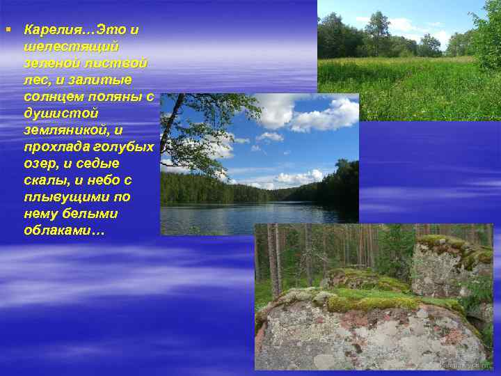 § Карелия…Это и шелестящий зеленой листвой лес, и залитые солнцем поляны с душистой земляникой,
