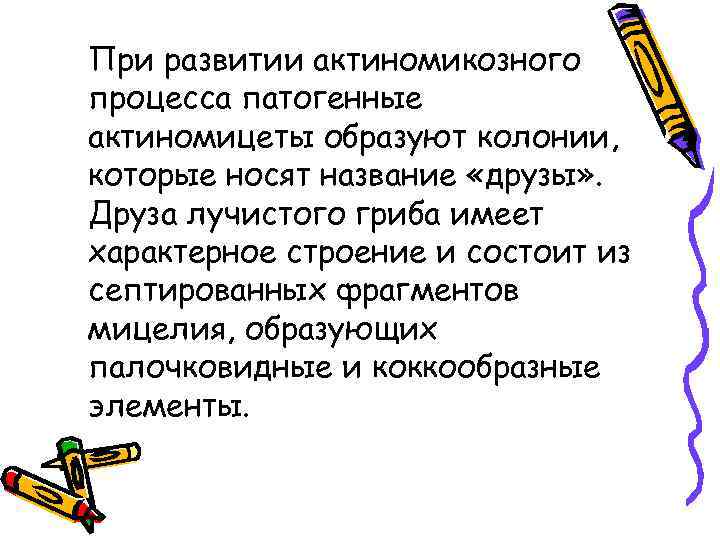 При развитии актиномикозного процесса патогенные актиномицеты образуют колонии, которые носят название «друзы» . Друза