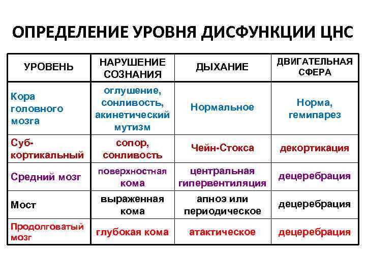 ОПРЕДЕЛЕНИЕ УРОВНЯ ДИСФУНКЦИИ ЦНС УРОВЕНЬ Кора головного мозга Субкортикальный Средний мозг Мост Продолговатый мозг