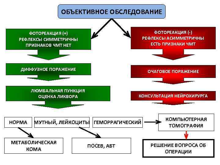 ОБЪЕКТИВНОЕ ОБСЛЕДОВАНИЕ ФОТОРЕАКЦИЯ (+) РЕФЛЕКСЫ СИММЕТРИЧНЫ ПРИЗНАКОВ ЧМТ НЕТ ФОТОРЕАКЦИЯ (-) РЕФЛЕКСЫ АСИММЕТРИЧНЫ ЕСТЬ