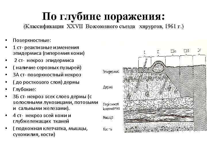 По глубине поражения: (Классификация XXVII Всесоюзного съезда хирургов, 1961 г. ) • • •