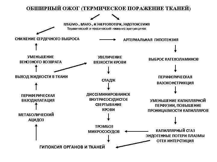 ОБШИРНЫЙ ОЖОГ (ТЕРМИЧЕСКОЕ ПОРАЖЕНИЕ ТКАНЕЙ) ПЛАЗМО-, ВЛАГО-, И ЭНЕРГОПОТЕРИ, ЭНДОТОКСЕМИЯ Термический и токсический гемолиз