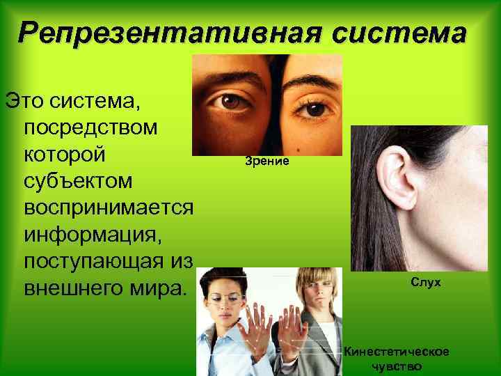 Репрезентативная система Это система, посредством которой субъектом воспринимается информация, поступающая из внешнего мира. Зрение